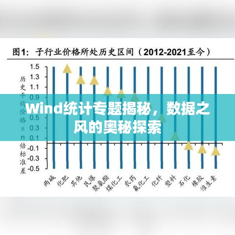 Wind统计专题揭秘，数据之风的奥秘探索