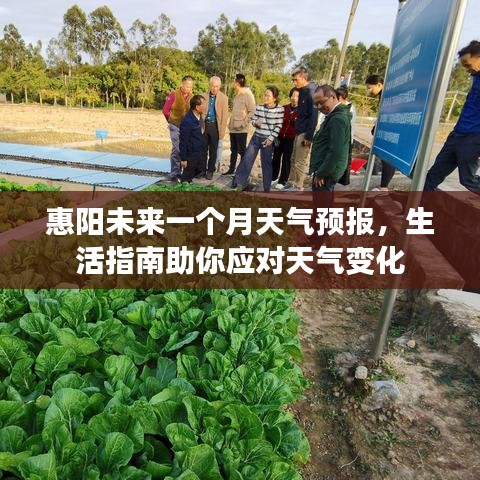 惠阳未来一个月天气预报，生活指南助你应对天气变化
