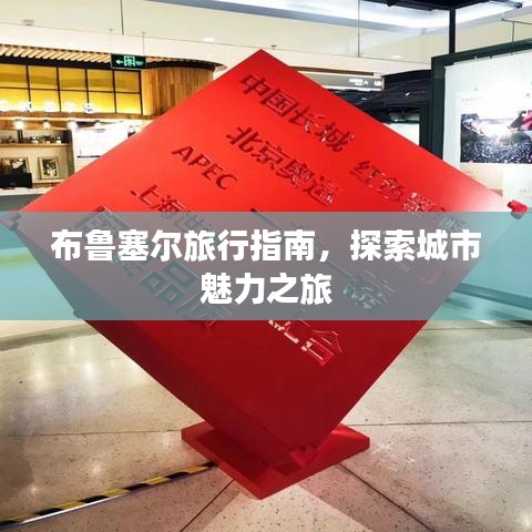 布鲁塞尔旅行指南，探索城市魅力之旅