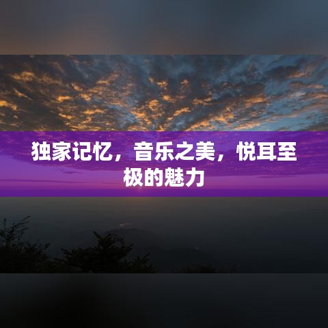 独家记忆，音乐之美，悦耳至极的魅力