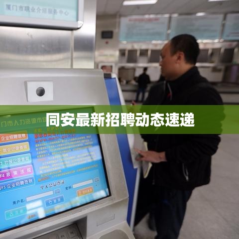 同安最新招聘动态速递
