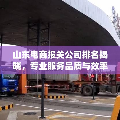 山东电商报关公司排名揭晓，专业服务品质与效率成关键要素