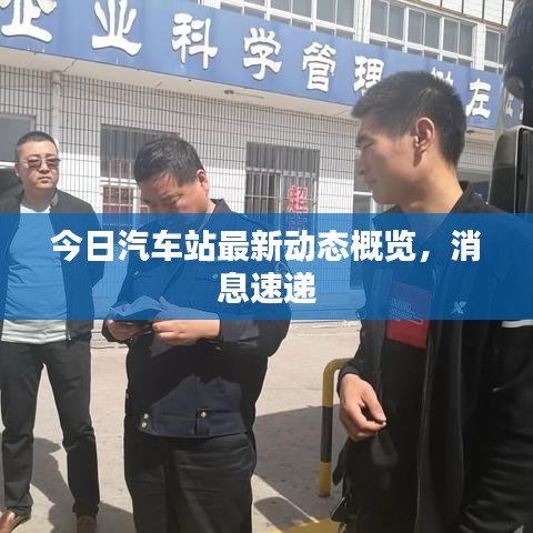 今日汽车站最新动态概览，消息速递