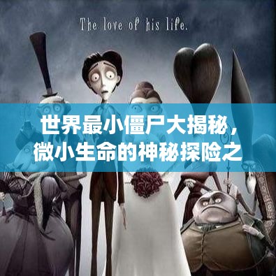 世界最小僵尸大揭秘，微小生命的神秘探险之旅