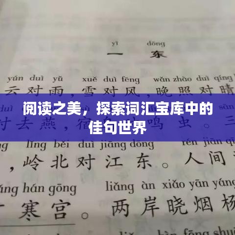 阅读之美，探索词汇宝库中的佳句世界