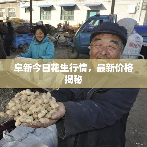 阜新今日花生行情，最新价格揭秘