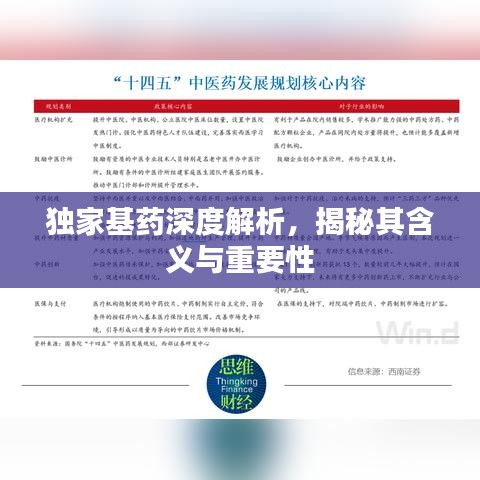 独家基药深度解析，揭秘其含义与重要性