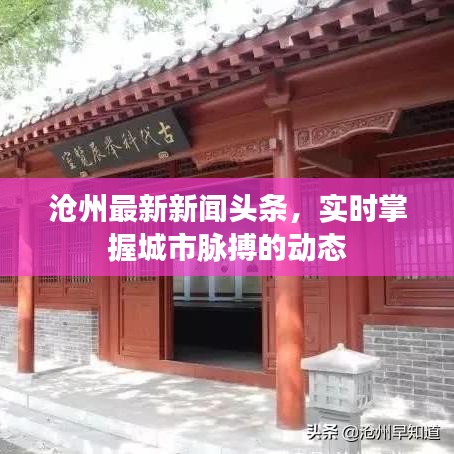 沧州最新新闻头条，实时掌握城市脉搏的动态