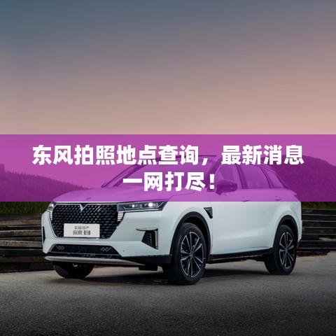 东风拍照地点查询，最新消息一网打尽！