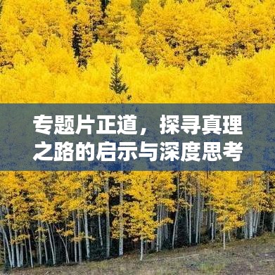 专题片正道，探寻真理之路的启示与深度思考