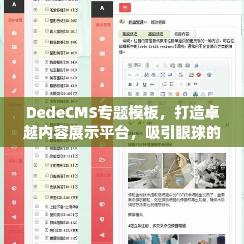 DedeCMS专题模板，打造卓越内容展示平台，吸引眼球的标题！