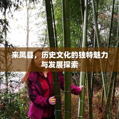 来凤县，历史文化的独特魅力与发展探索