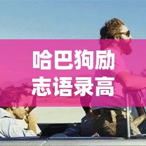 哈巴狗励志语录高清美图集锦