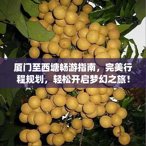 厦门至西塘畅游指南，完美行程规划，轻松开启梦幻之旅！