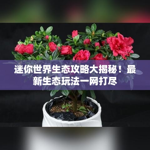 迷你世界生态攻略大揭秘！最新生态玩法一网打尽
