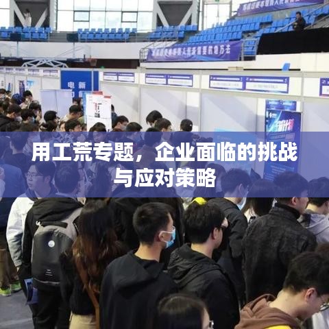 用工荒专题，企业面临的挑战与应对策略