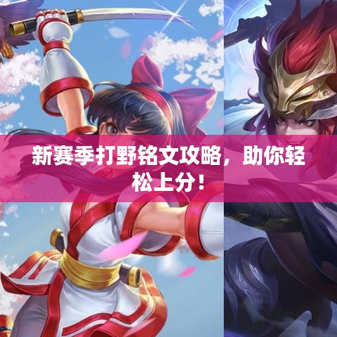 新闻资讯