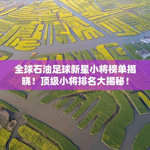 全球石油足球新星小将榜单揭晓！顶级小将排名大揭秘！