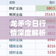 龙矛今日行情深度解析，最新市场动态一网打尽