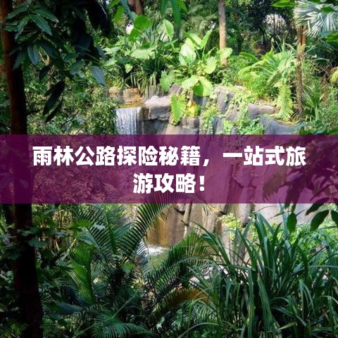雨林公路探险秘籍，一站式旅游攻略！