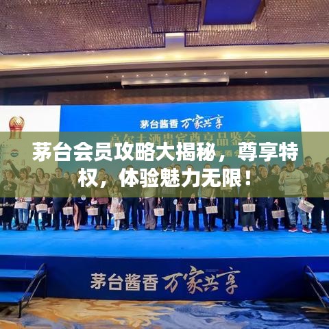 茅台会员攻略大揭秘，尊享特权，体验魅力无限！