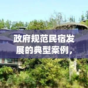 政府规范民宿发展的典型案例，引领行业新标杆！