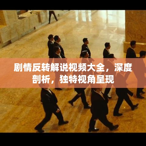 剧情反转解说视频大全，深度剖析，独特视角呈现