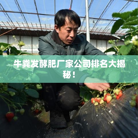 牛粪发酵肥厂家公司排名大揭秘！