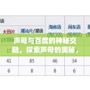 声母与百度的神秘交融，探索声母的奥秘，感受百度的力量