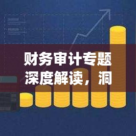 财务审计专题深度解读，洞悉审计要点，助力企业发展
