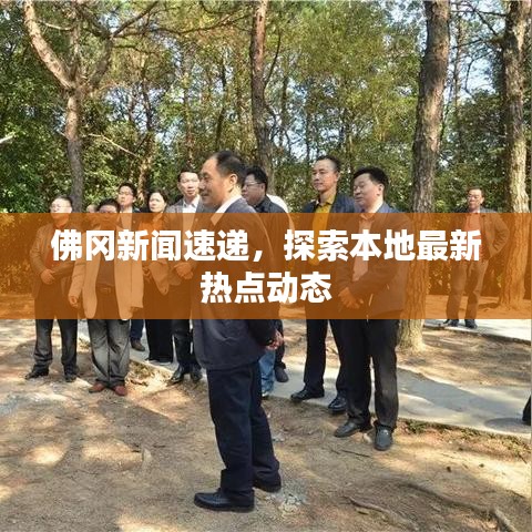 佛冈新闻速递，探索本地最新热点动态