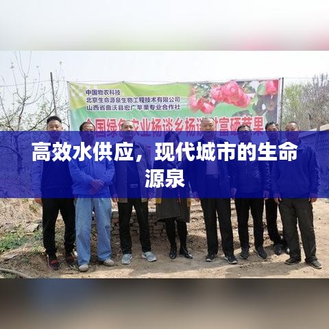 高效水供应，现代城市的生命源泉